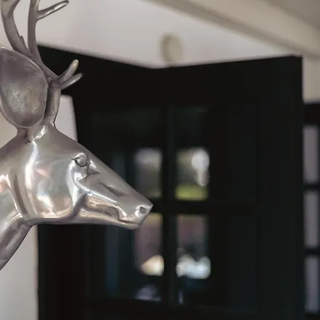 The Luxury Penthouse At Casita Palmera * Ариа